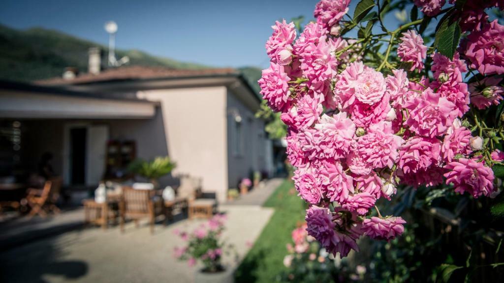 Casa Vittoria Villa Camaiore Eksteriør billede